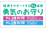 健康をサポートするがん保険 勇気のお守り